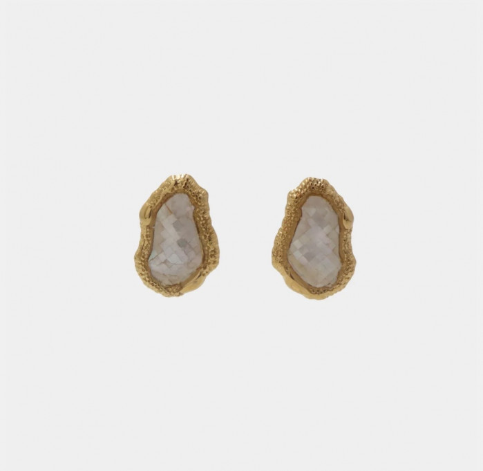 PENDIENTES NACARADOS