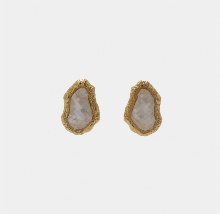 PENDIENTES NACARADOS